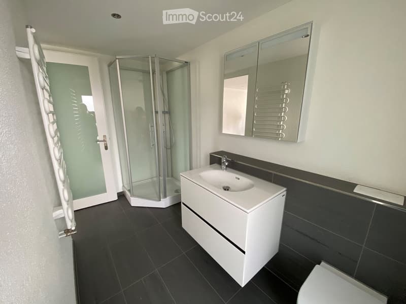 Modern bathroom with white sink, mirror cabinet, glass shower enclosure, and dark tiled floor.