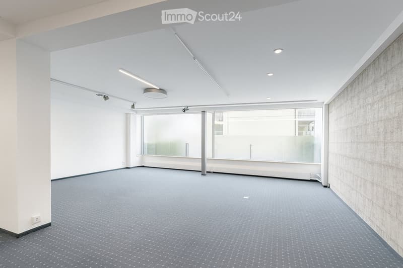 Empty room with grey carpeted floor, white walls, and large glass window with frosted glass panels. Minimalist design with recessed lighting and a single ceiling light fixture.