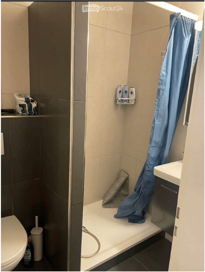 Compact bathroom with a toilet, sink, and shower area. Shower curtain is drawn, and a shower shelf holds toiletries. Cleaning supplies are visible near the toilet.
