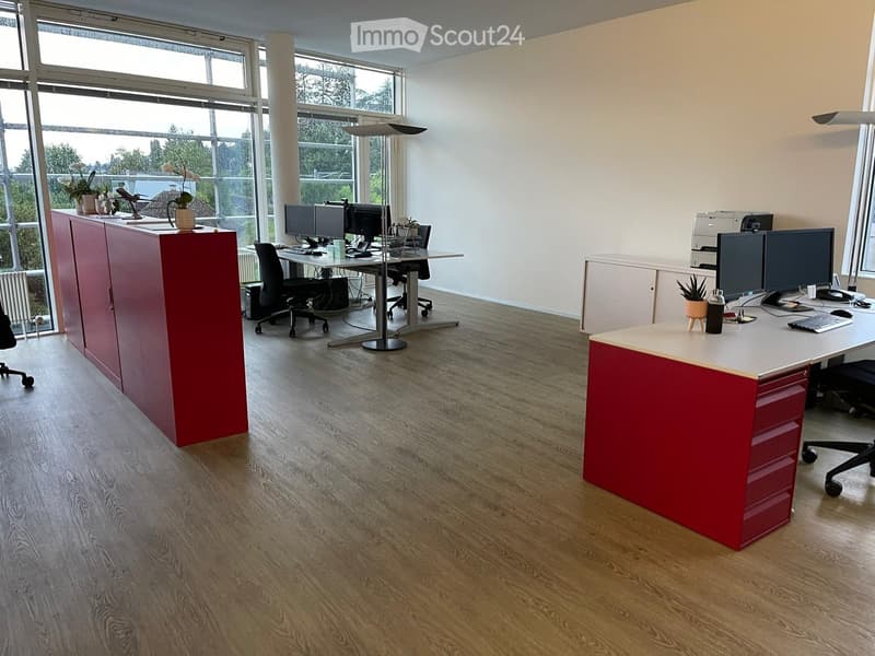Modern office space with wooden flooring, large windows, desks, chairs, multiple computer screens, a printer, and decorative plants.