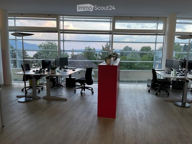 Modern office space with large windows, two desks, chairs, multiple computer monitors, keyboards, mice, and plants.