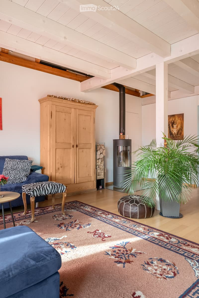 Living room with exposed wooden beams, a blue sofa with zebra-patterned cushions, a round wooden table, a large area rug, a leather ottoman, a wooden cabinet, a modern fireplace, and a potted plant.