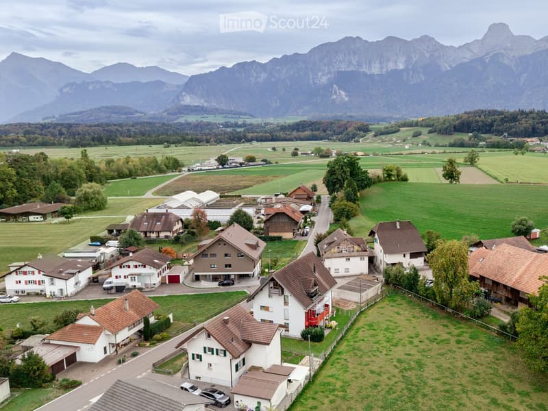 Aerial view of a rural village with multiple houses, surrounded by green fields and mountains in the background.