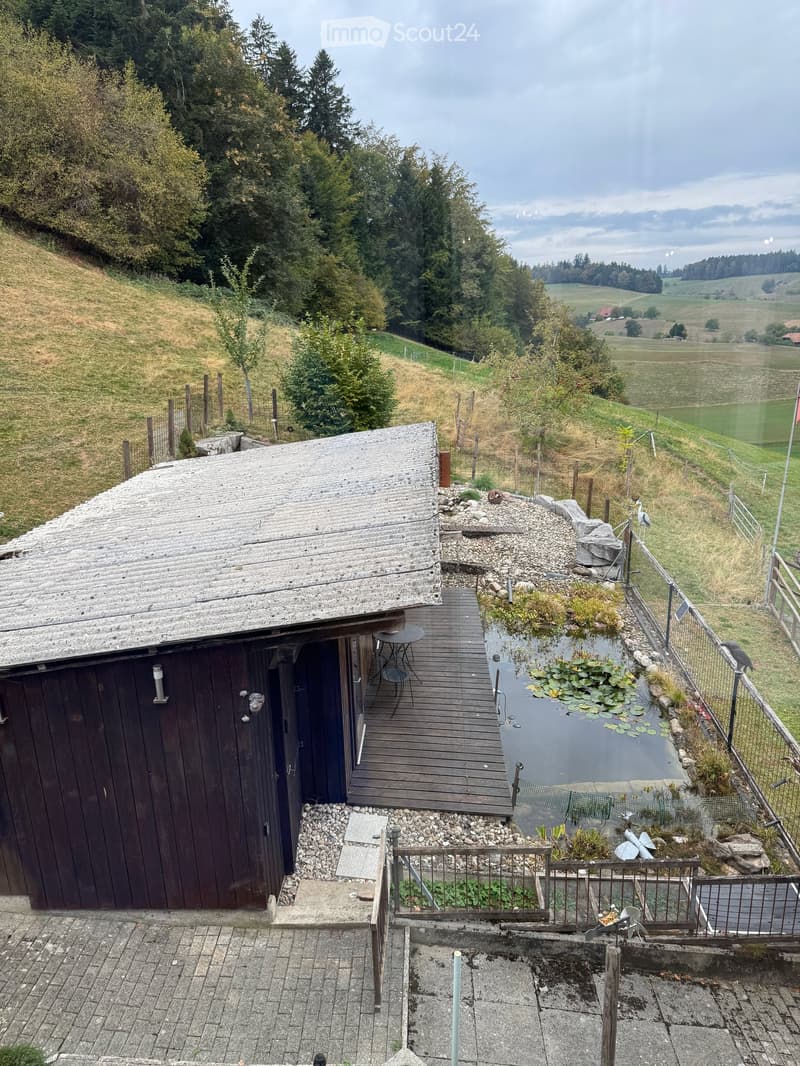 A wooden shed with a small deck, a small pond with lily pads, and a fenced area with a bird on a perch. The surrounding area includes a grassy hill, trees, and a view of a valley.