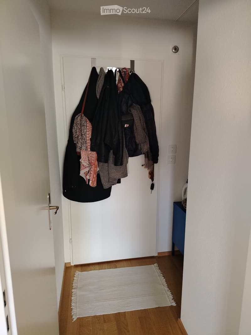 A narrow hallway with wooden flooring, a white door, a coat rack with jackets and scarves, a small white rug, and a blue cabinet with a bottle on top.