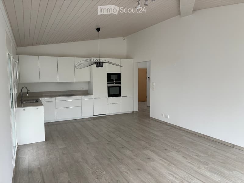 Modern, unfurnished kitchen with white cabinets, stainless steel sink, and built-in appliances. The space features a sleek, minimalist design with a wooden floor and a modern pendant light.