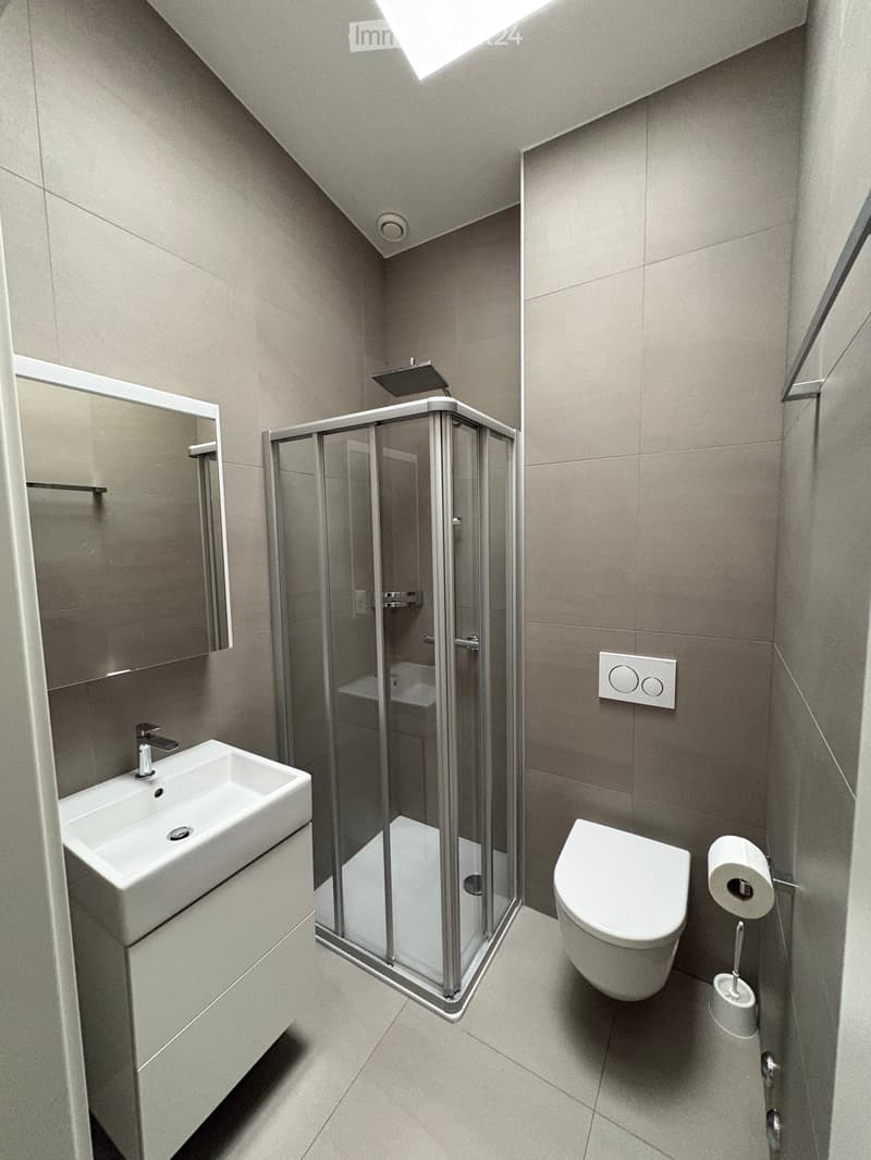 Modern bathroom with a white sink, mirror, toilet, and a glass-enclosed shower. Features a sleek design with neutral tones and a skylight for natural light.