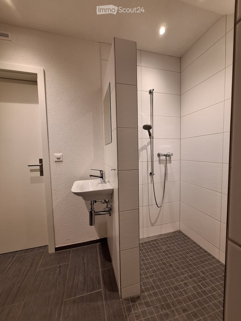 Modern bathroom with a white sink, chrome faucet, and a shower area with a handheld showerhead and hose. The walls are tiled in light beige, and the floor has dark wooden tiles.