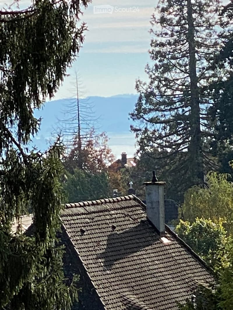 A view of a tiled roof with a chimney, surrounded by trees and a scenic mountain backdrop.