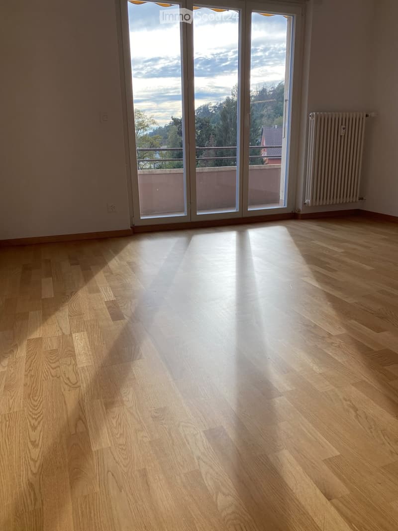 Empty room with light wooden flooring, large sliding glass doors leading to a balcony, radiator on the wall, and natural light streaming in.