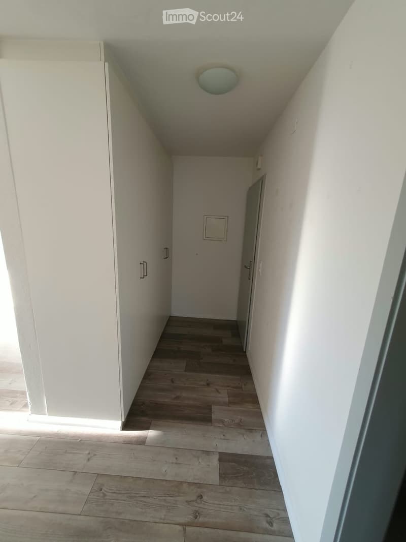Empty hallway with wooden flooring, white walls, and a closed door at the end.