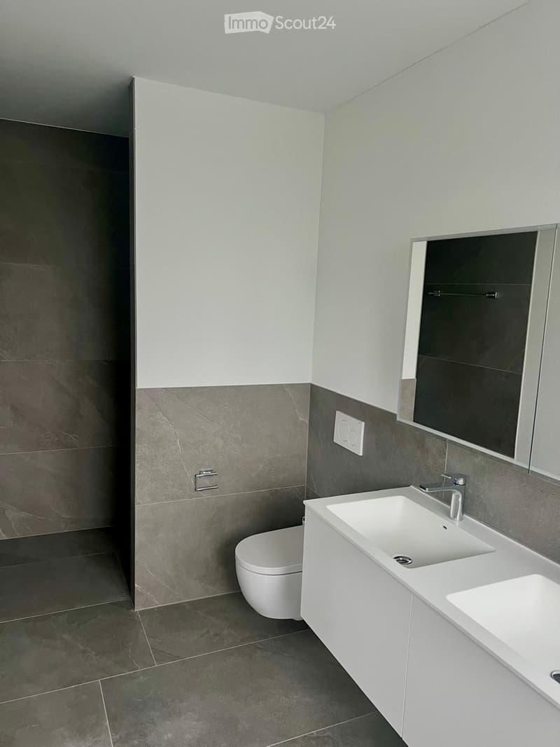 Modern bathroom with a white sink, chrome faucet, toilet, mirrored cabinet, and dark grey tiles.
