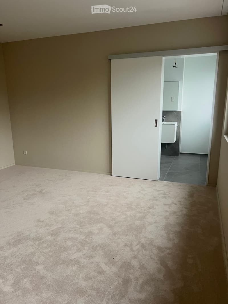 Empty room with beige carpet and light-colored walls, featuring a closed white sliding door leading to a small bathroom with a sink and dark tiled floor.
