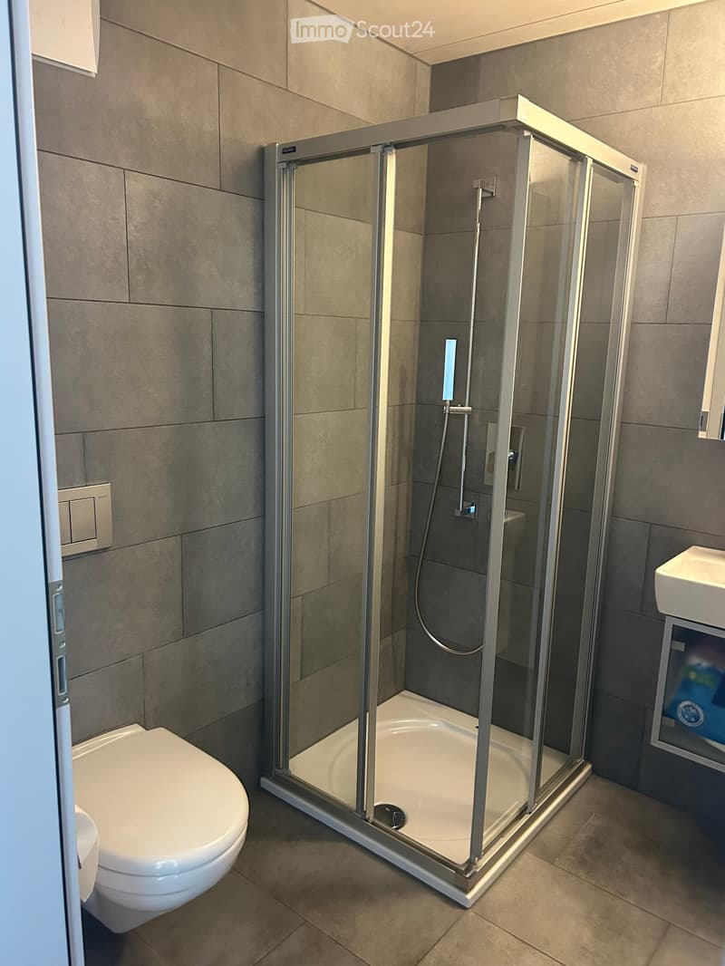 Modern bathroom with a glass-enclosed shower, toilet, and sink. Grey tiled walls and floor.