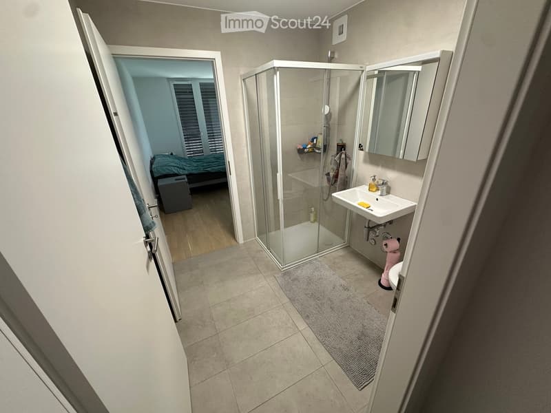 Modern bathroom with a glass-enclosed shower, a white sink with a mirror, a toilet, and a small rug on the floor. A towel hangs on the side of the shower, and a small shelf holds toiletries.