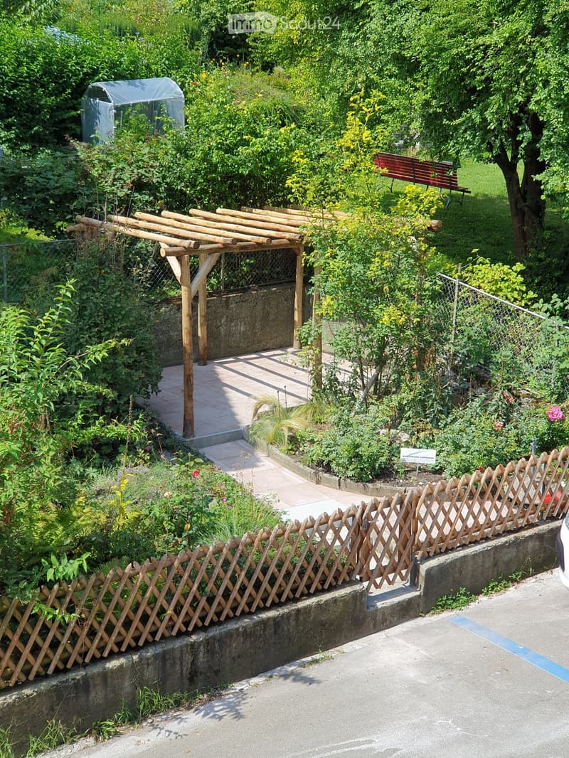Garden with wooden lattice fence, wooden pergola, lush greenery, and a small wooden bench in the background.