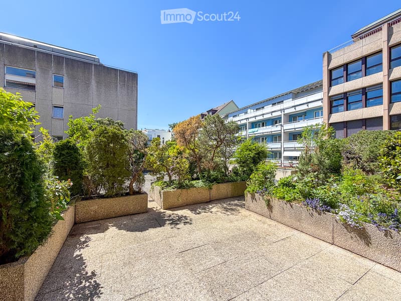Courtyard with paved ground, surrounding greenery, and modern buildings in the background.