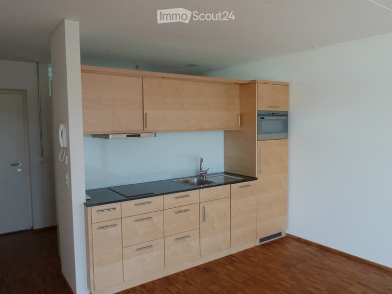 Modern kitchen with wooden cabinets, black countertops, sink, faucet, and a built-in oven.