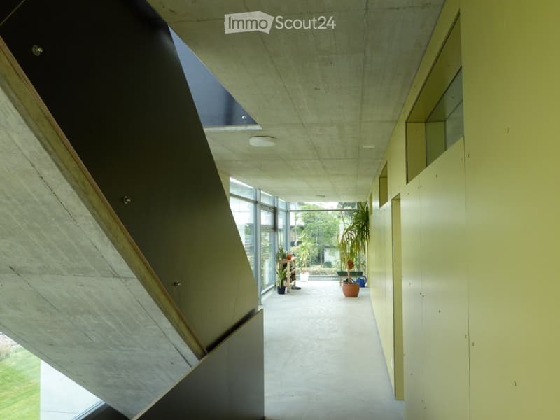concrete ceiling, yellow walls, large windows, potted plants, hallway