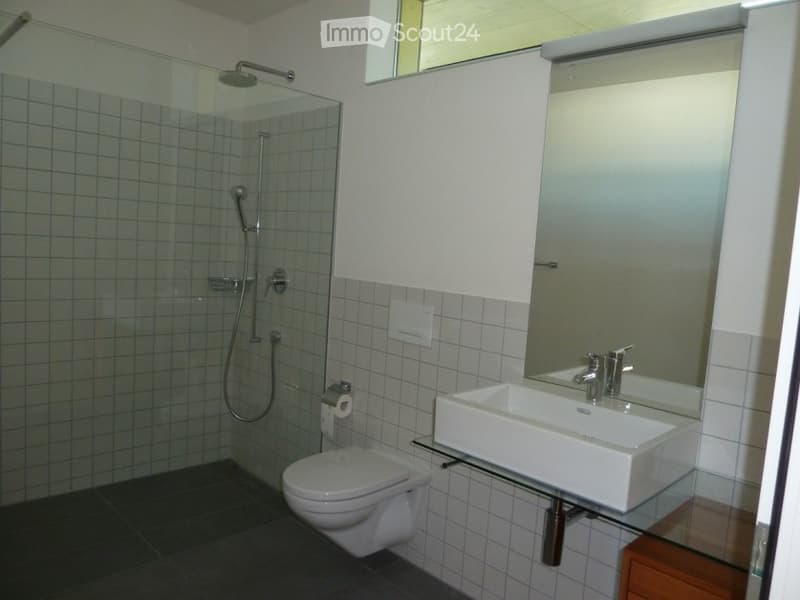 modern bathroom with a walk-in shower, white toilet, white sink, small mirror, wooden cabinet, white tiles