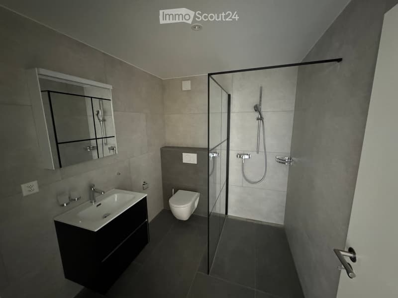 Modern bathroom with a dark grey tiled floor, a white sink with a dark cabinet, a toilet, a glass-enclosed shower, and a mirror with built-in storage.