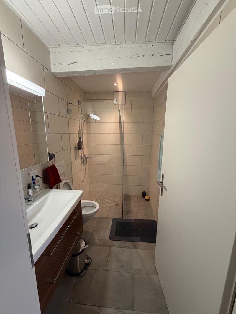Modern bathroom with a sink, toilet, mirror, and a glass-enclosed shower. Features tiled walls and a slanted ceiling with exposed wooden beams.
