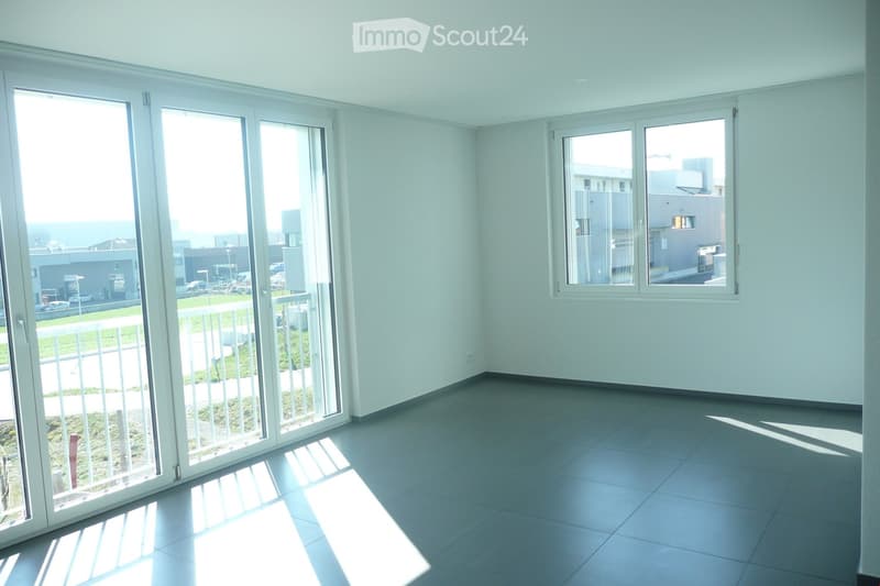 empty room, white walls, gray floor, large windows, balcony with railings, view of the outside