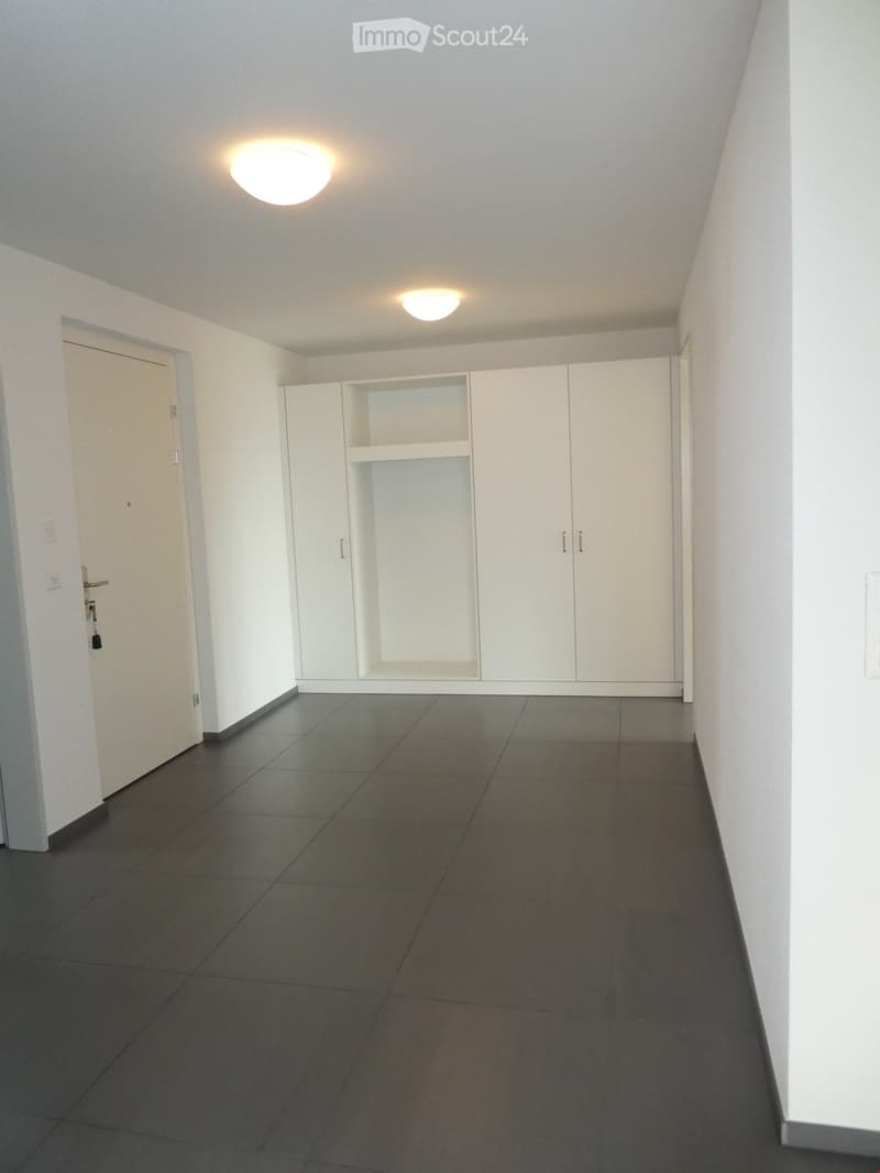 Empty room with white walls, gray floor, white cabinets, and two ceiling lights