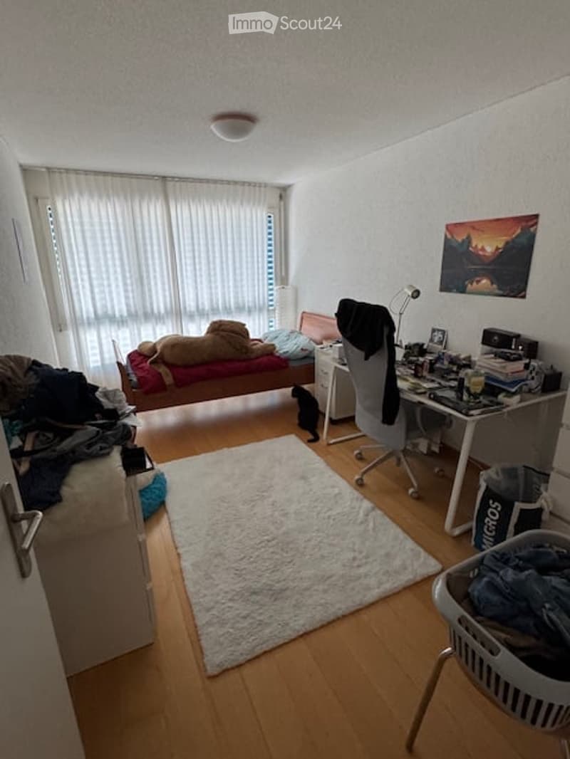 A furnished bedroom with a bed, desk, chair, and a small black cat. The room features a large window with white curtains, a white rug, and a picture frame on the wall.