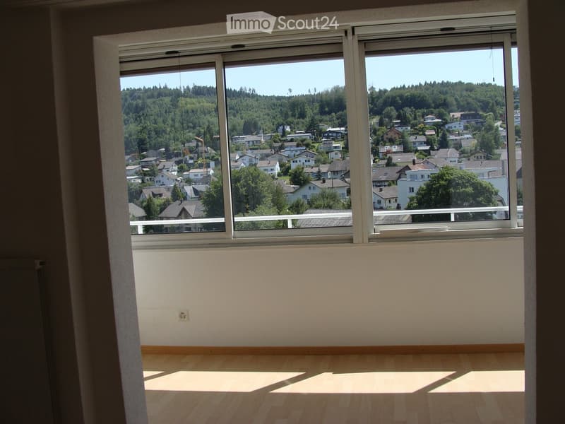 View from large window showing hilly neighborhood