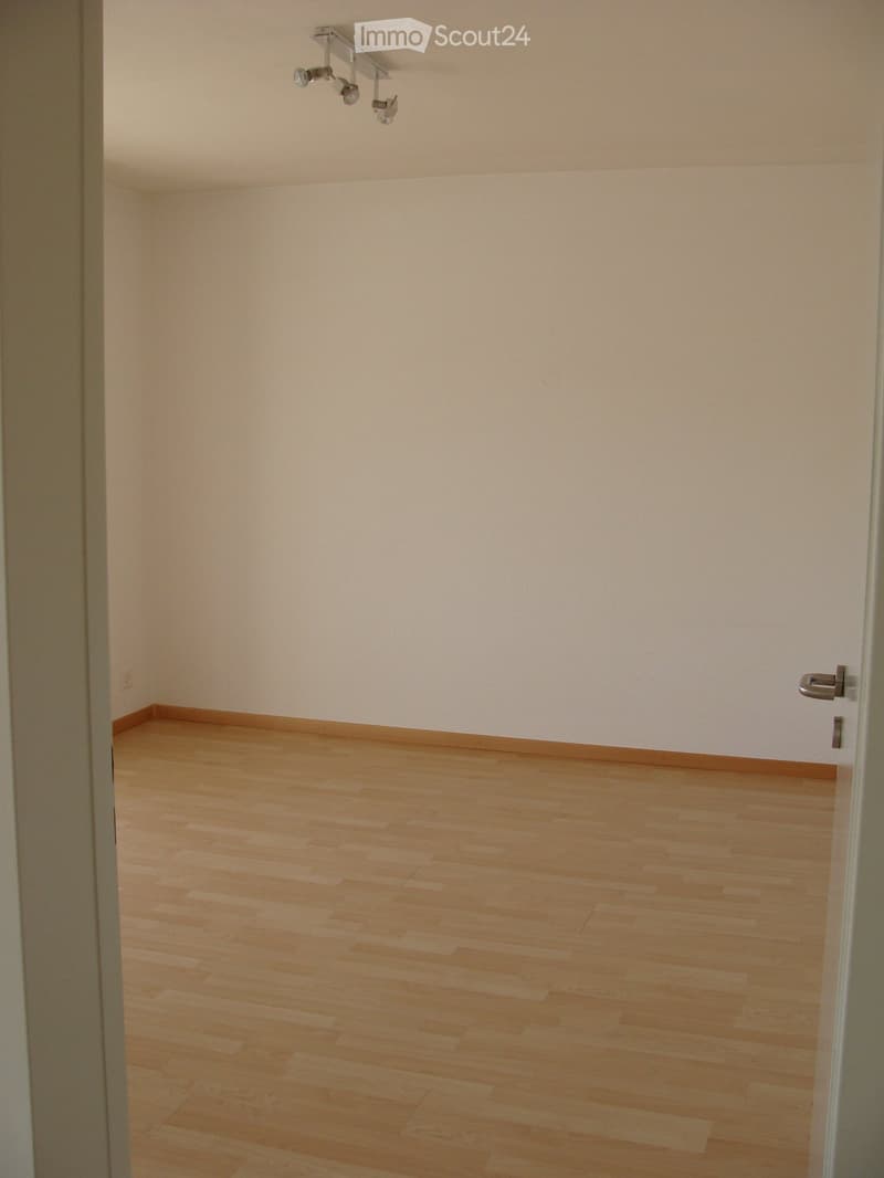 empty room, wooden floor, white walls, ceiling lights