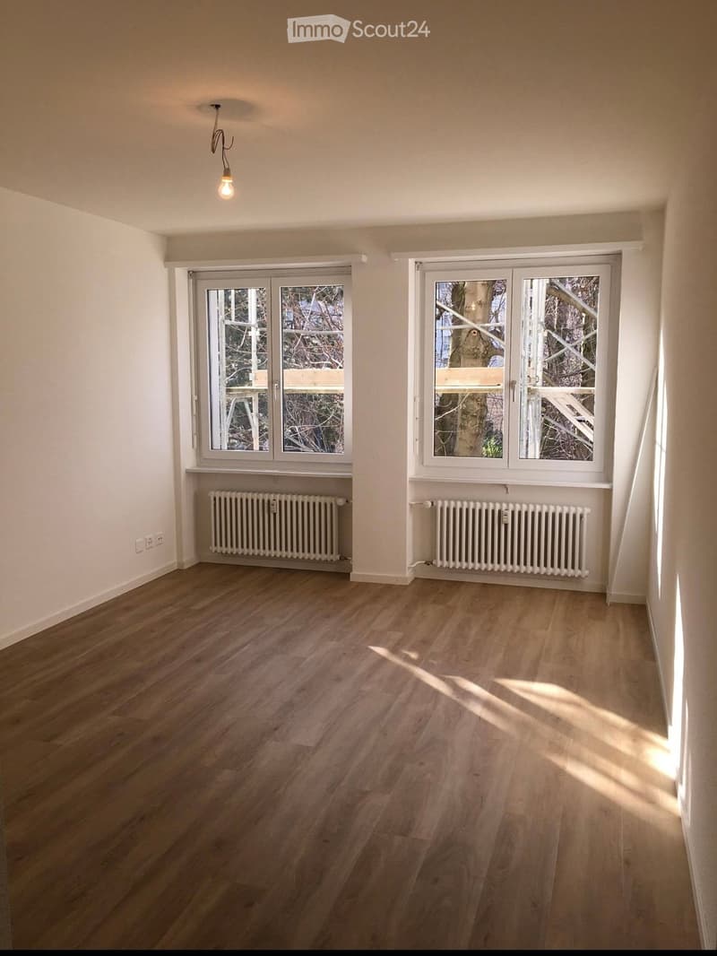 Empty room with wooden flooring, white walls, large windows, radiators, and a hanging light fixture.