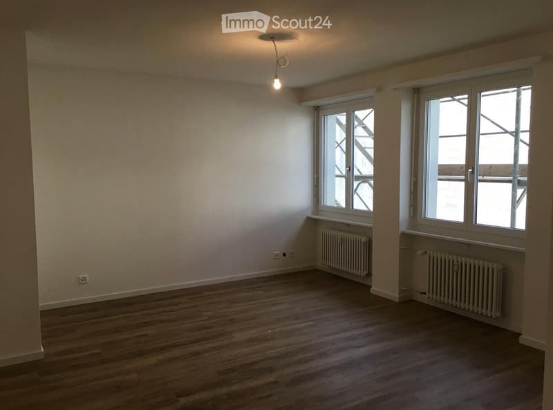 Empty room with wooden flooring, white walls, and large windows. Features a radiator and a single light fixture hanging from the ceiling.