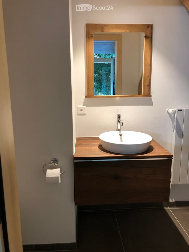Modern bathroom with a wooden vanity, white sink bowl, chrome faucet, and a large mirror with a wooden frame. Toilet paper holder visible on the left.