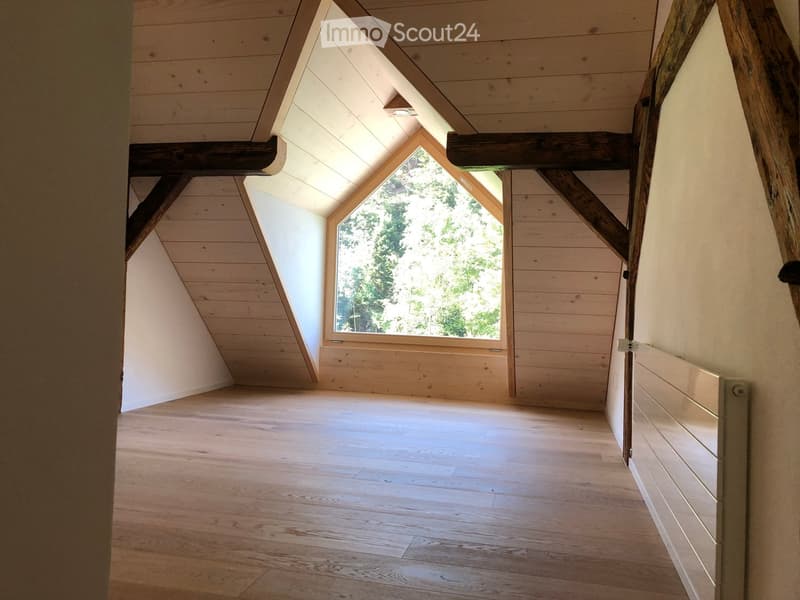 Empty attic space with wooden floors, exposed wooden beams, and a skylight window offering a view of greenery.
