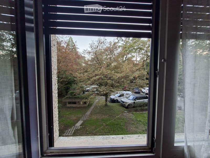 View from a window showing a grassy area with trees, a small pathway, and several parked cars.