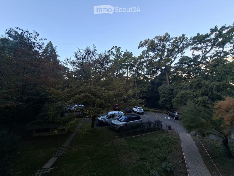 Aerial view of a parking lot surrounded by trees and greenery, with several parked cars visible.