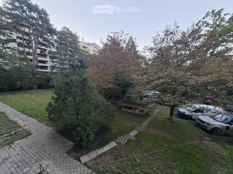 Garden area with trees, grass, parked cars, and a paved walkway leading to a building.