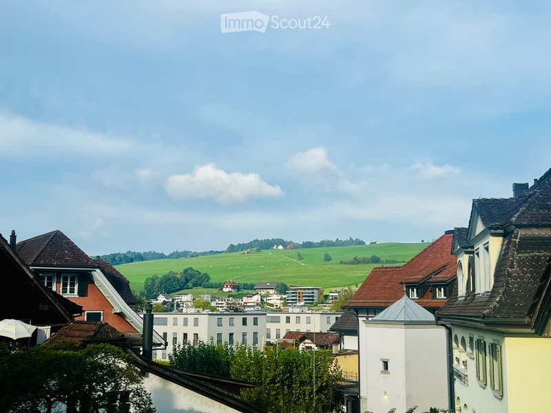 View of a town with traditional houses, modern buildings, and a green landscape in the background.