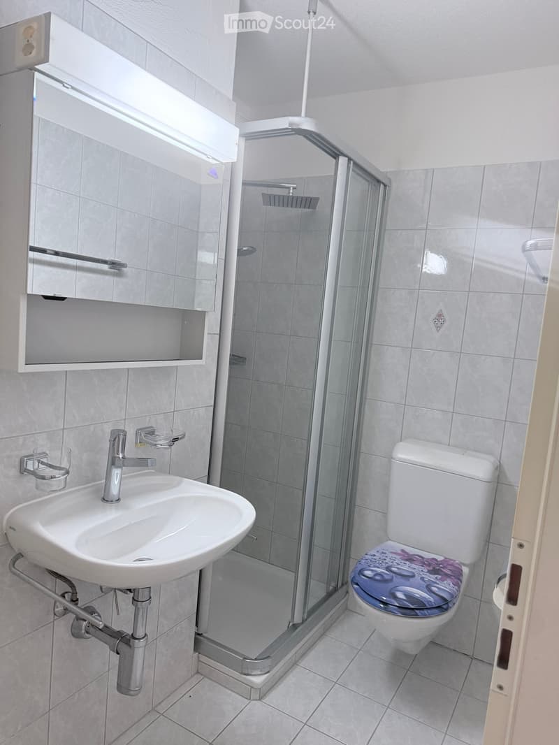 Modern bathroom with a white sink, chrome faucet, toilet with a decorative seat cover, glass-enclosed shower, and a mirror with built-in storage.