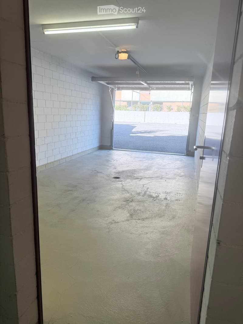 {"visible_features": ["Garage"], "type": "Garage", "objects": [], "description": "Empty garage with concrete floor, white brick walls, and overhead lighting. The garage door is open, revealing an outdoor area with some vegetation.", "localized_description