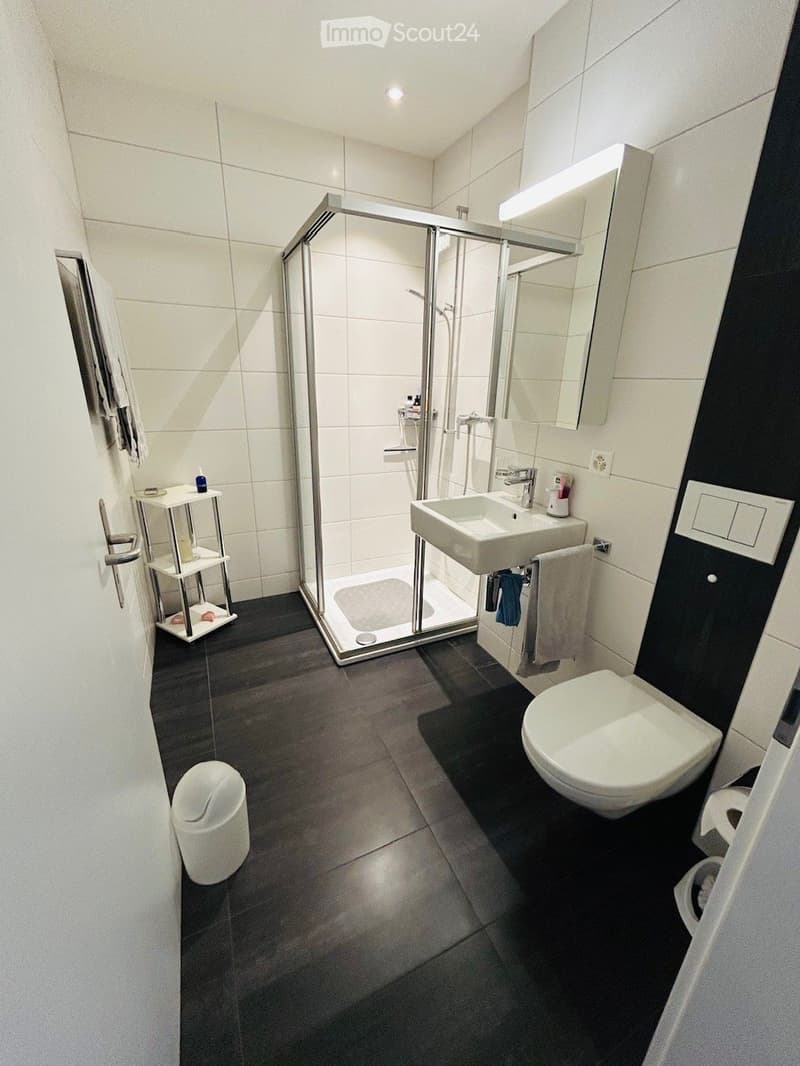Modern bathroom with a glass-enclosed shower, white sink, toilet, and a small shelf holding towels and toiletries.