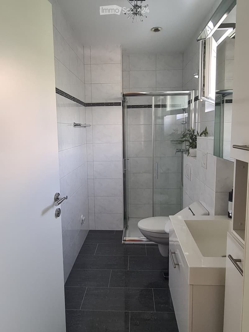 Modern bathroom with white tiles, dark grey floor, glass-enclosed shower, toilet, sink, and cabinet.