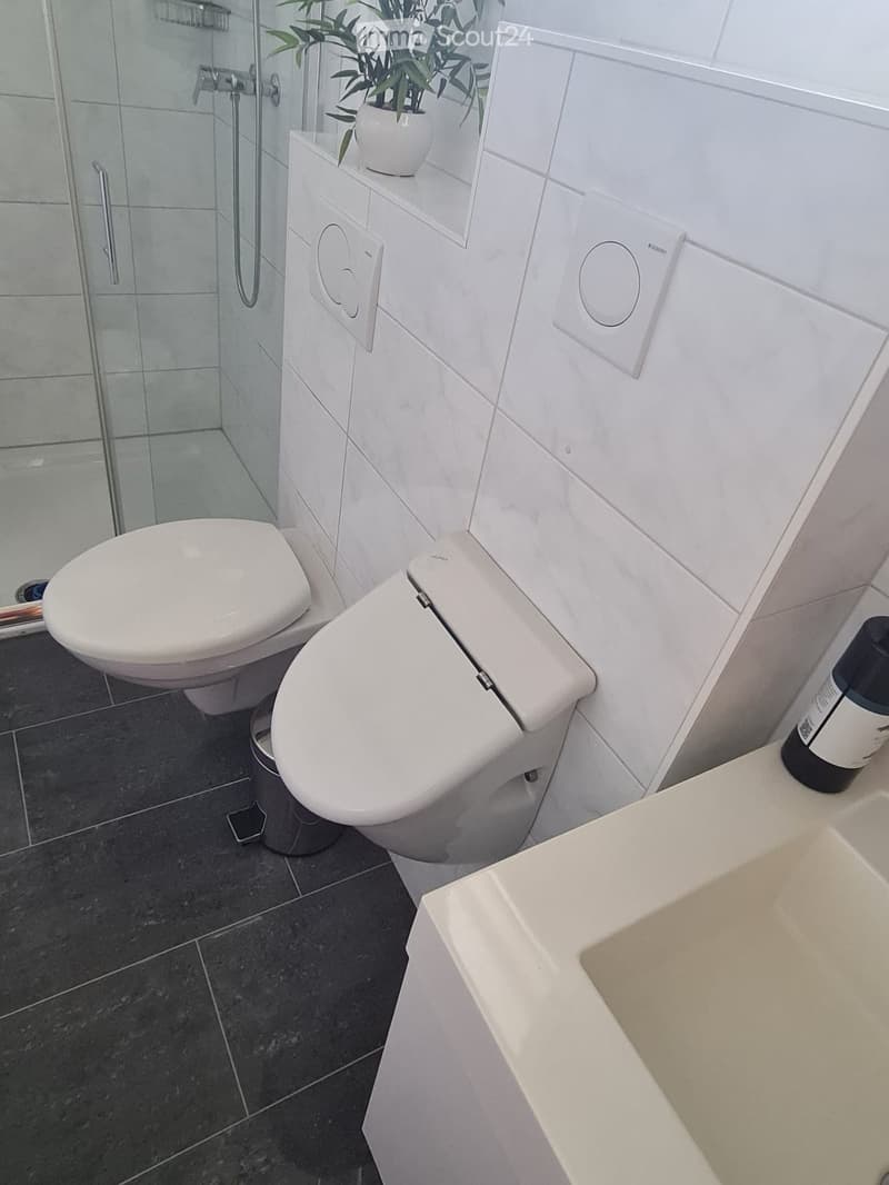 Modern bathroom with white tiles, a toilet, a sink, a shower, and a small potted plant on the shelf.