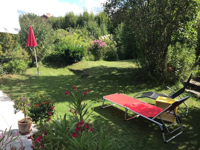 Garden with sun loungers, umbrella, and potted plants.