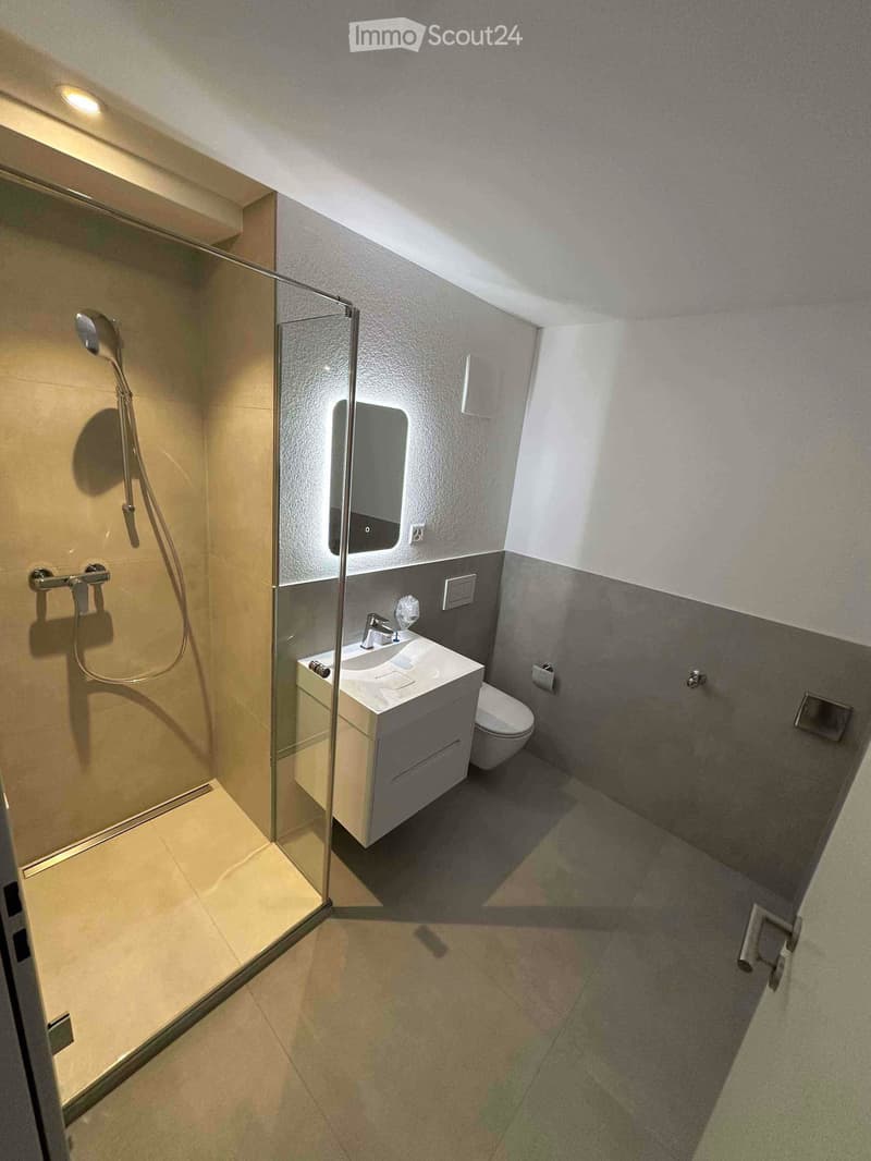 Modern bathroom with a glass-enclosed shower, a white sink with a mirror, and a toilet. The walls are painted in a two-tone design with light grey on top and dark grey on the bottom.