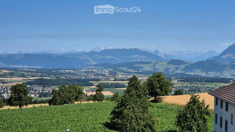 Panoramic view of a rural landscape with fields, trees, and distant mountains under a clear blue sky.