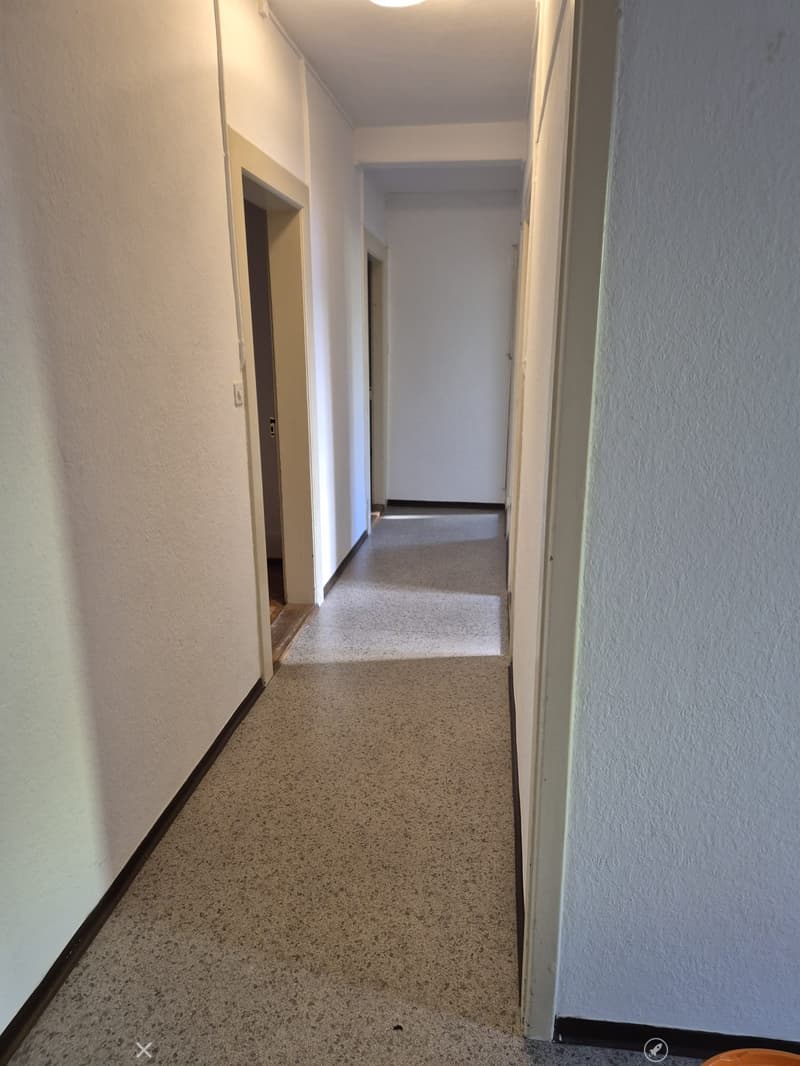 Empty hallway with beige carpeted floor and white walls, featuring several doors and a light fixture on the ceiling.