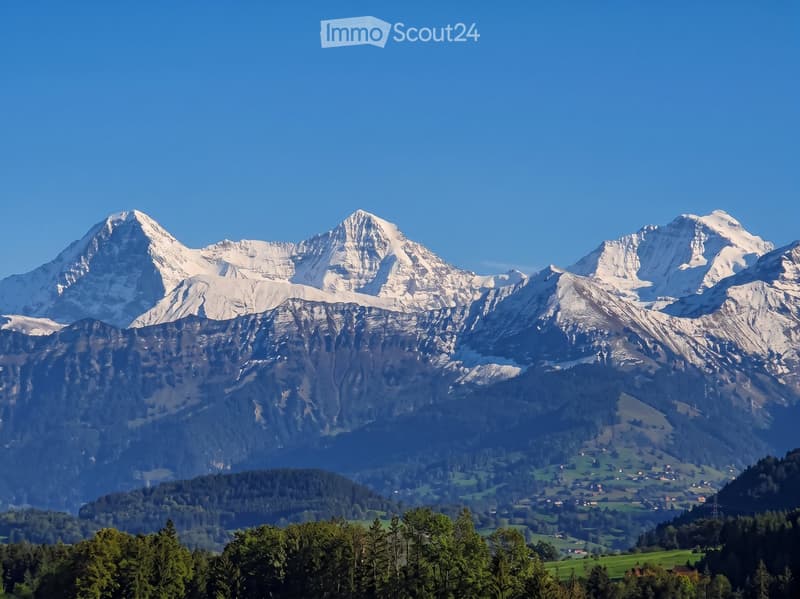 A panoramic view of snow-capped mountain peaks and a lush green valley below, with scattered houses and trees in the foreground.