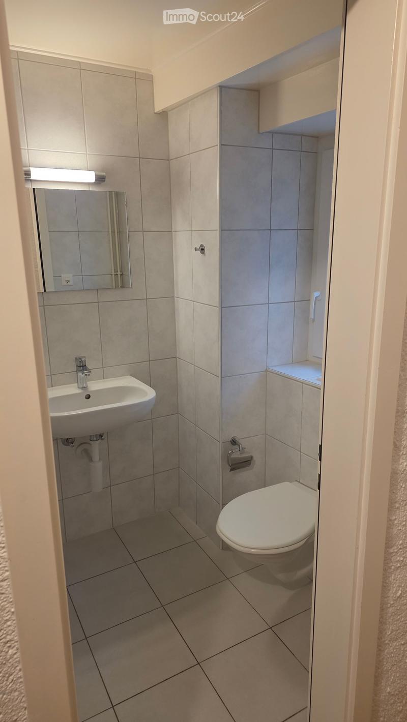 Modern bathroom with tiled walls and floor, featuring a toilet, sink, mirror, and light fixture above the sink.